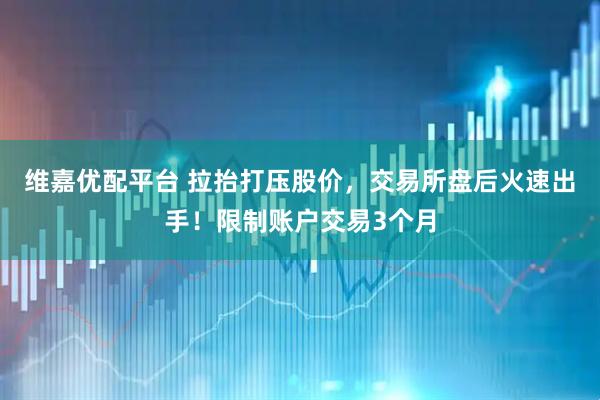 维嘉优配平台 拉抬打压股价，交易所盘后火速出手！限制账户交易3个月
