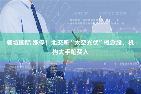 领域国际 涨停！北交所“太空光伏”概念股，机构大手笔买入